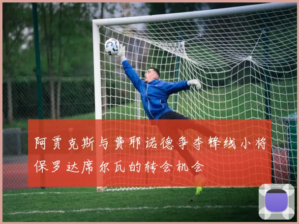 阿贾克斯与费耶诺德争夺锋线小将保罗达席尔瓦的转会机会