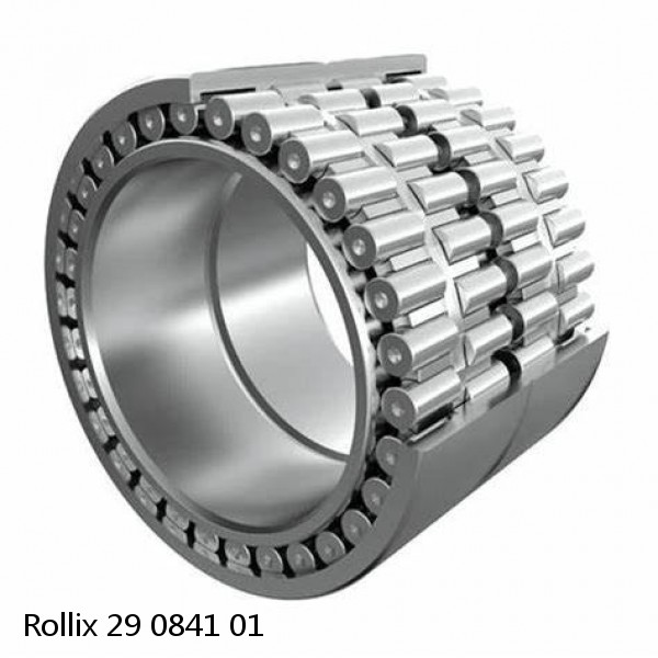 29 0841 01 Rollix Slewing Ring Bearings