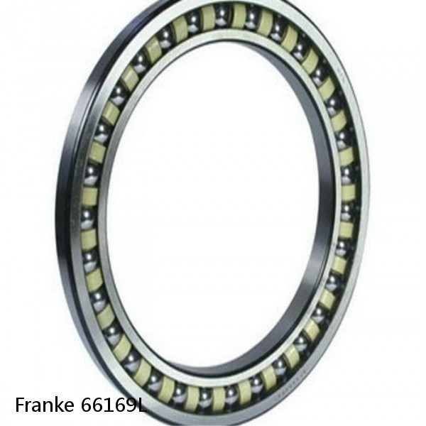 66169L Franke Slewing Ring Bearings #1 small image
