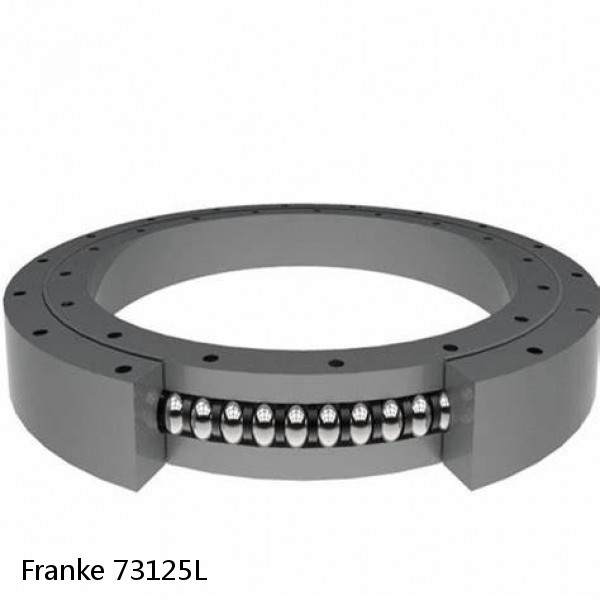 73125L Franke Slewing Ring Bearings #1 small image