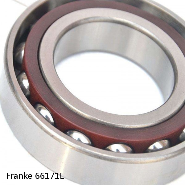 66171L Franke Slewing Ring Bearings
