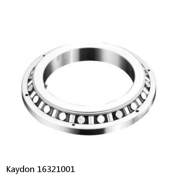 16321001 Kaydon Slewing Ring Bearings #1 small image