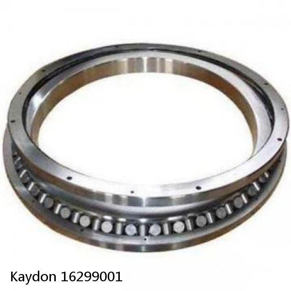 16299001 Kaydon Slewing Ring Bearings #1 small image