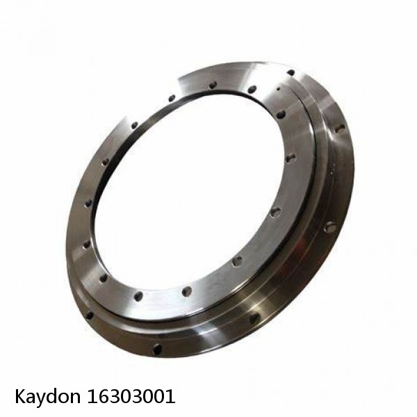 16303001 Kaydon Slewing Ring Bearings #1 small image