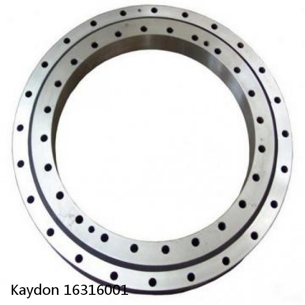 16316001 Kaydon Slewing Ring Bearings #1 small image