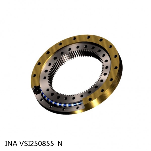 VSI250855-N INA Slewing Ring Bearings #1 small image