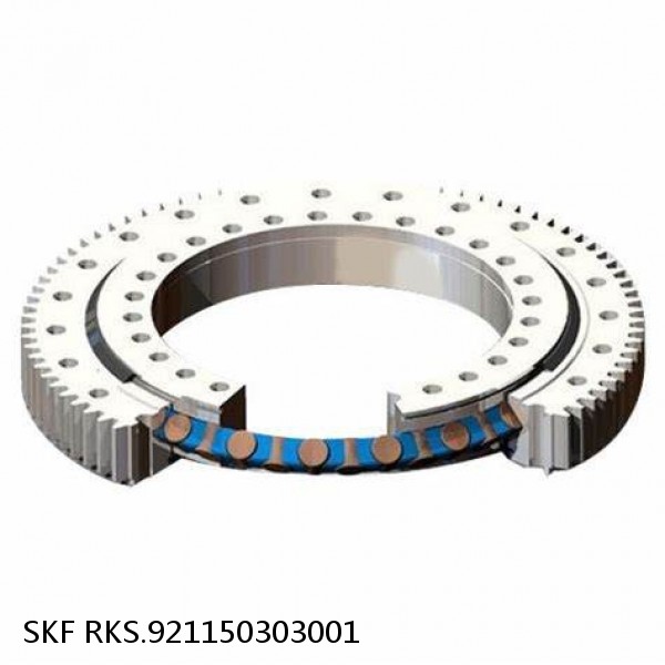 RKS.921150303001 SKF Slewing Ring Bearings #1 small image