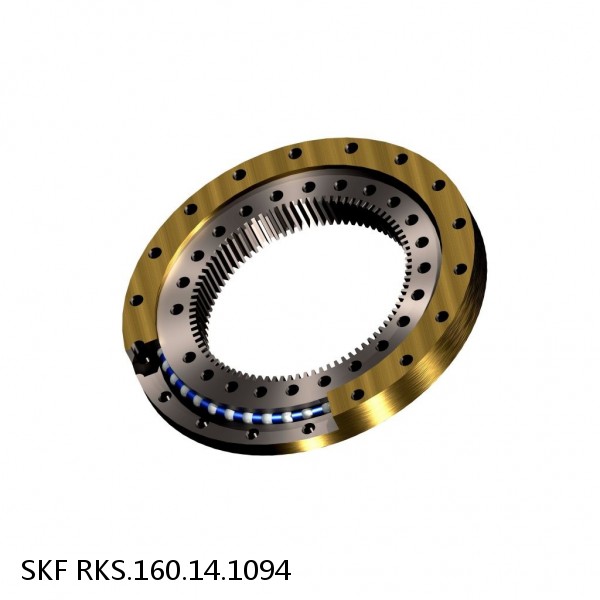 RKS.160.14.1094 SKF Slewing Ring Bearings #1 small image