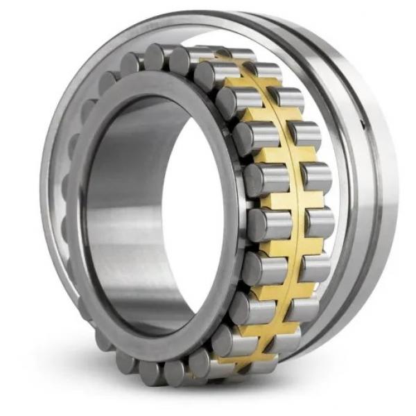 FAG NU320-E-M1-F1-C4  Cylindrical Roller Bearings #1 image