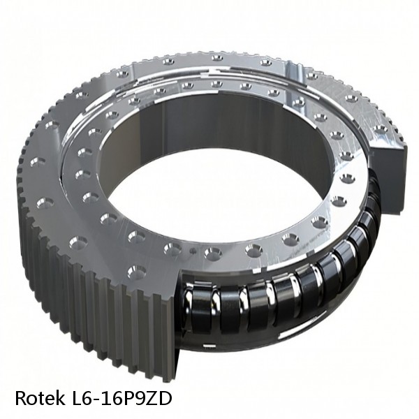 L6-16P9ZD Rotek Slewing Ring Bearings #1 image